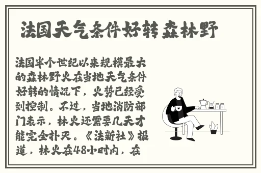 麻花传媒与其他传媒公司合作
